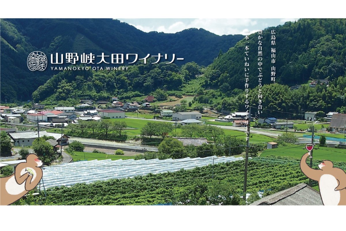yamano_web